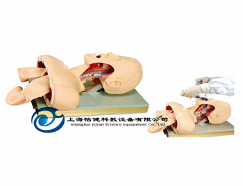 高級(jí)人體氣管插管訓(xùn)練模型